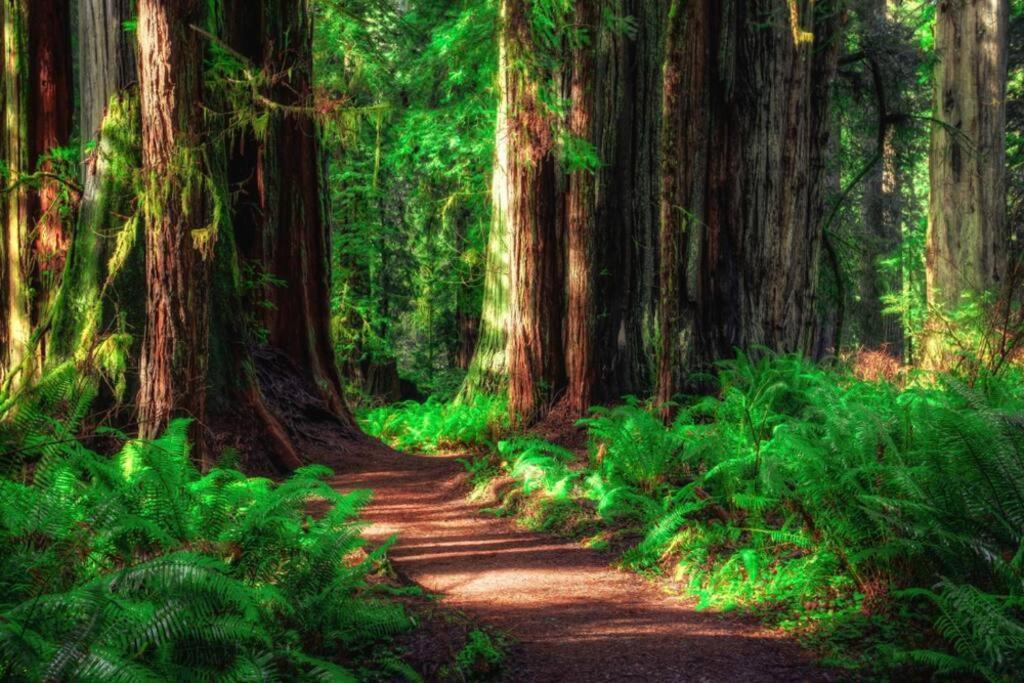 Bear Mountain - Suite 6 Grants Pass Esterno foto
